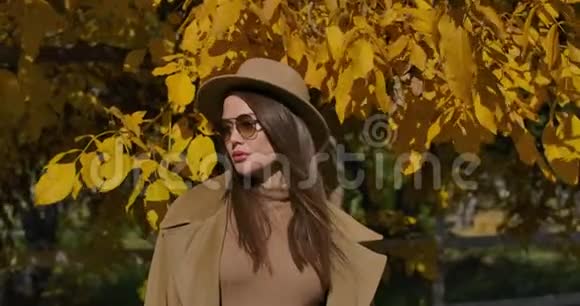 一个自信的欧洲女孩戴着棕色帽子和太阳镜站在黄叶背景上的肖像魅力视频的预览图