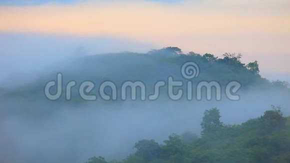 雾在黎明时从山顶流过泰国高耀国家公园视频的预览图