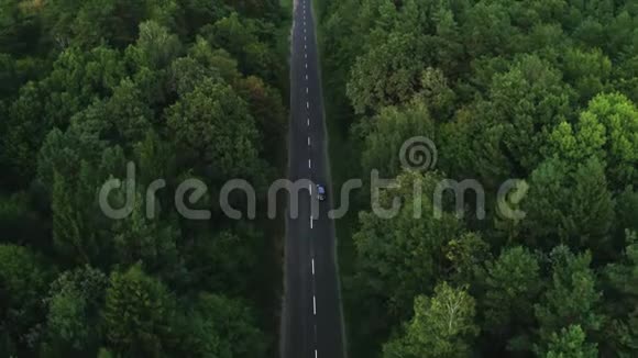 灰色汽车沿着绿色的夏季森林行驶鸟瞰视频的预览图