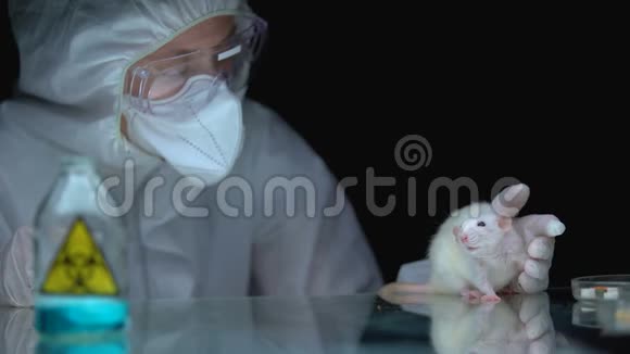 生物危害后观察大鼠反应的科学家生物武器开发视频的预览图