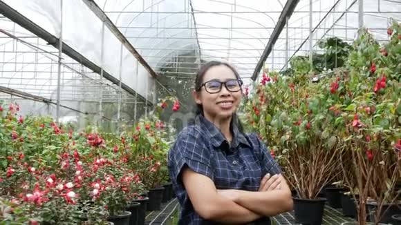 园丁亚洲女人站着跨过一只的手臂骄傲地站在温室里生长的花朵里视频的预览图