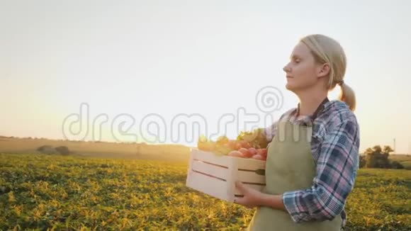 一个带着一盒蔬菜的年轻农民穿过田野农产品视频的预览图