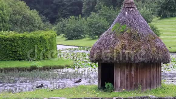 雨天湖畔一间宁静的小屋视频的预览图