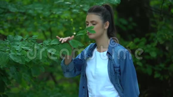 拯救地球标志女手悲伤生态志愿者检查森林树木污染视频的预览图