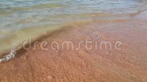 海aa岸沙缓动波视频的预览图