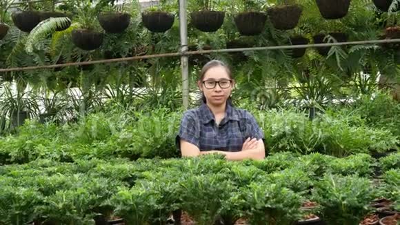 园丁亚洲女人站着跨过一只的手臂为温室里生长的花朵感到骄傲视频的预览图
