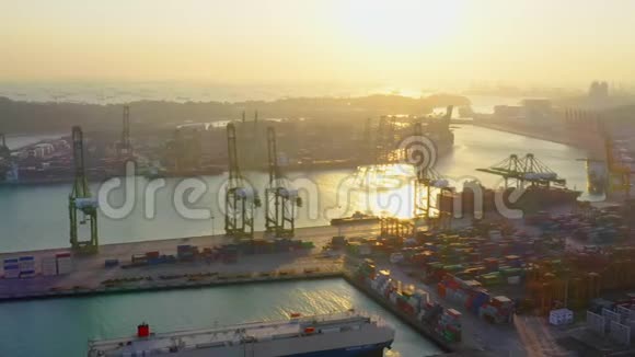货物集装箱运输船和起重机在新加坡海港工业区剪影日落物流行业概念视频的预览图
