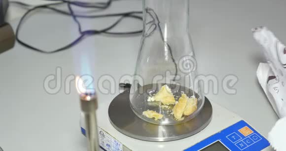 一位科学家在实验室里采集了一些食物样本并将它们放入Erlenmeyer烧瓶中进行进一步的测试视频的预览图