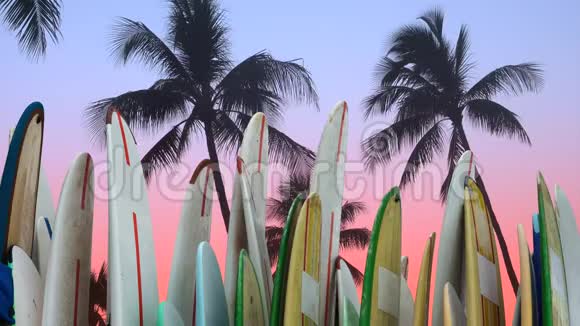 夏威夷日落时的冲浪板出租A视频的预览图