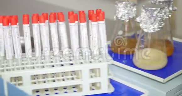 在实验室对食品和饮料进行质量检查将样品放入试管和Erlenmeyer烧瓶中然后混合视频的预览图