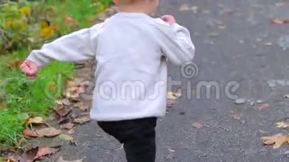 一个男孩在秋天的森林里沿着路跑视频的预览图