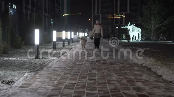 一个美丽的金发女孩在一条装饰着灯笼的冬日街道上遛狗视频的预览图