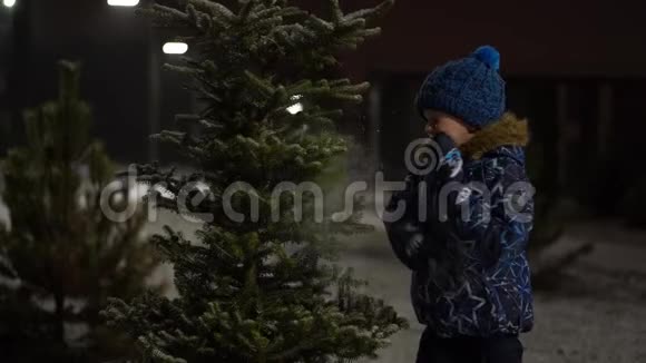 美丽的慢动作视频小男孩有趣的摇雪从一个下雪的圣诞树在公园冬天的晚上视频的预览图