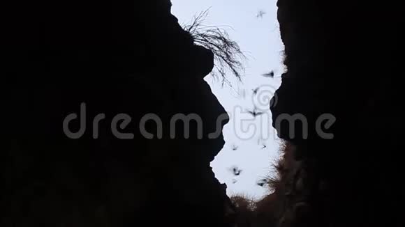 在熔岩隧道里视频的预览图