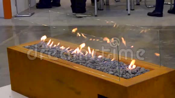 现代生物火灾壁炉乙醇气体智慧生态视频的预览图