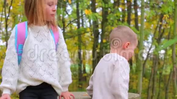 兄妹俩正在秋林中散步女孩坐下来摆姿势视频的预览图