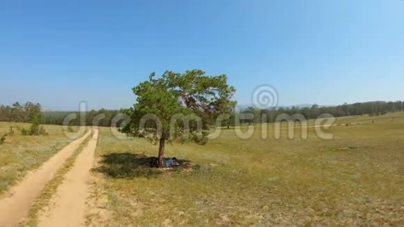 空中射击环绕着田野里的树视频的预览图
