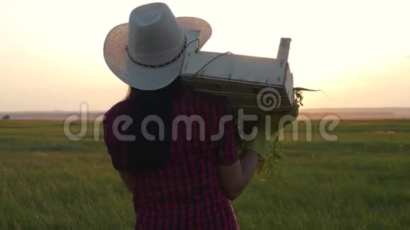 一个带着一盒新鲜蔬菜的女农民正在日落的田野上走着清洁质量和视频的预览图