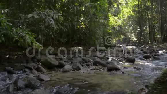 热带雨林瀑布母亲和女儿在夏季徒步旅行小径上散步视频的预览图