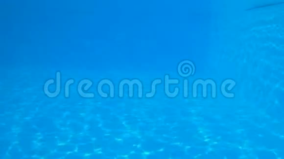 年轻女性朋友在夏季休假期间穿着泳衣潜入水中在清澈的蓝色游泳池里漂浮视频的预览图