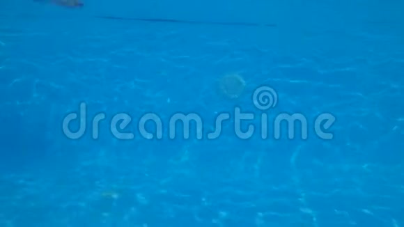 身材苗条的女孩在度假胜地的暑假里在清澈的蓝色泳池边潜水和游泳视频的预览图