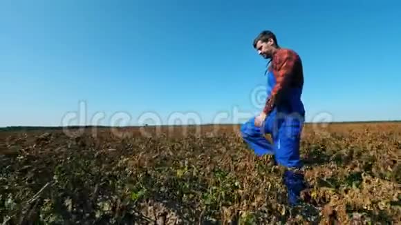 科学家正沿着被烧毁的田野走着死旱田的农业植物视频的预览图