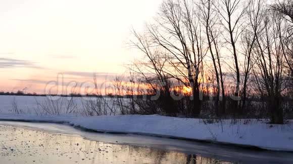 冬天的风景阳光明媚的早晨白雪覆盖的森林里结满了霜冻的树木在夕阳下平静的冬日自然视频的预览图