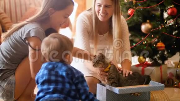 幸福家庭的4K镜头打开圣诞礼物和礼物可爱的小猫走出盒子家庭成员视频的预览图
