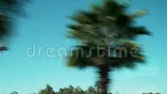 波夫开车穿过阳光明媚的热带道路棕榈树对抗夏天的天空从里面看视频的预览图