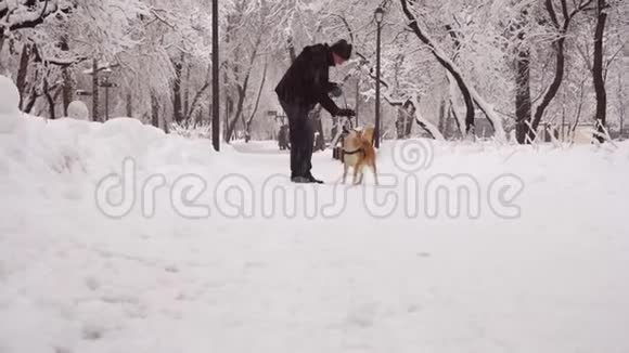 冬天下雪人在公园玩狗养殖石坝英奴4K视频的预览图