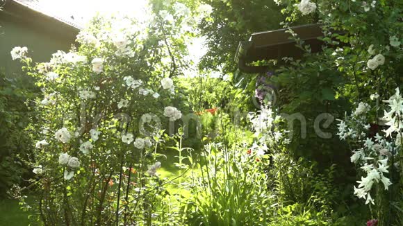 花园与鲜花版本1视频的预览图