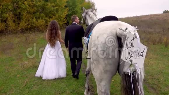 刚结婚的新娘和新郎牵着手走领头的马关门视频的预览图