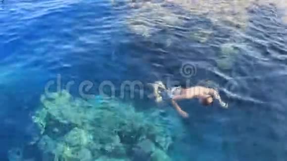 夏天阳光明媚一个人在红海里洗澡透过面具看珊瑚视频的预览图
