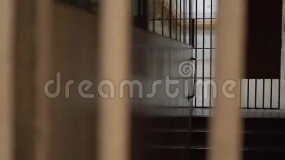 从金属栏杆上看到监狱走廊摄像机从左到右移动视频的预览图
