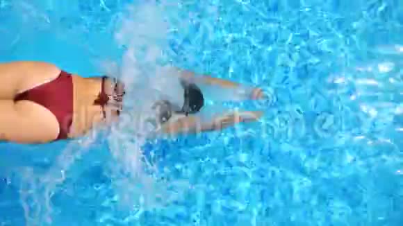穿红色比基尼的女人在游泳池里潜水溅出晶莹剔透的水性感女孩在酒店的水盆里游泳视频的预览图