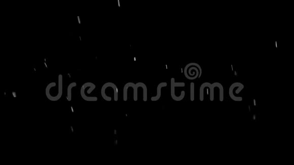 夜幕降临的雪视频的预览图