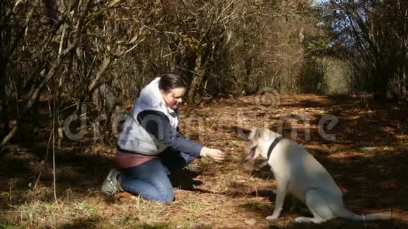 一个女人在训练一只小狗视频的预览图