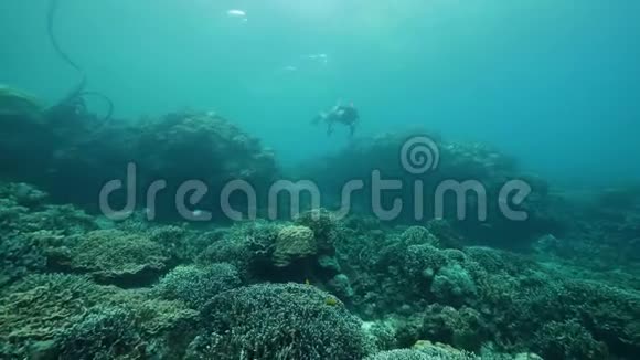 一个穿比基尼的女人在蓝色的海洋里浮潜里面有珊瑚和热带鱼视频的预览图