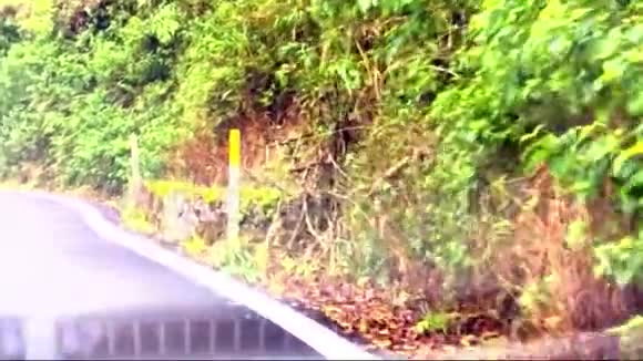 极端道路夏威夷毛伊美国曲线冒险视频的预览图