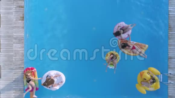 在夏季游泳池休息一群女孩朋友穿着泳衣在游泳池边的充气圈和床垫上游泳视频的预览图