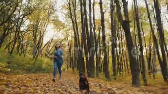 小女孩和她可爱的狗在秋天的森林里奔跑视频的预览图