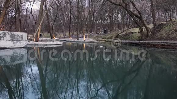 春天安静平静的公园鸭子游泳视频的预览图