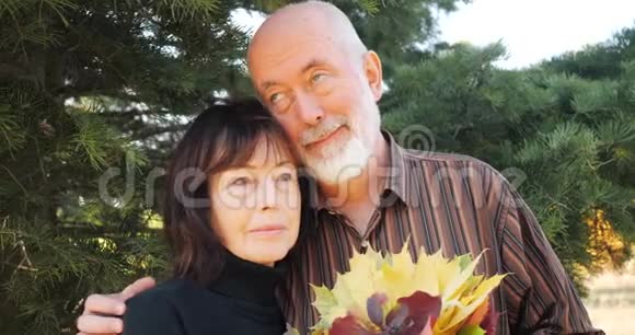 快乐的老年夫妇在一棵松树下一对男人和女人在秋天抱着一束叶子慢动作视频的预览图