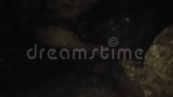 CuevadeChicho洞穴出口到Cotubanama国家公园视频的预览图
