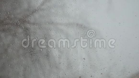 窗户玻璃上的雨滴视频的预览图