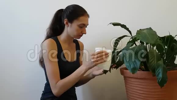 一个穿t恤的女人领着家花的护理用湿布擦拭大叶的家庭主妇视频的预览图