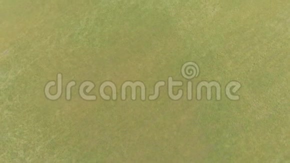 一个空中向后倾斜的画面显示了一个乡村在一个雄伟的b下长满草的田野森林和庄稼地滚动着的小山视频的预览图