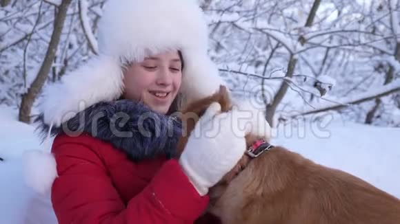 快乐的孩子冬天在公园里和狗玩圣诞假期户外带猎狗的女孩女主人视频的预览图