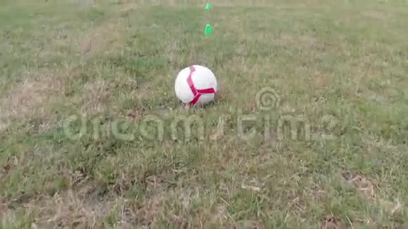 公园草地上的足球视频的预览图