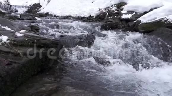 冬季森林河慢动作视频的预览图